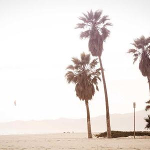 Samsung ტაბლეტები