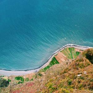 ქსელის კაბელები