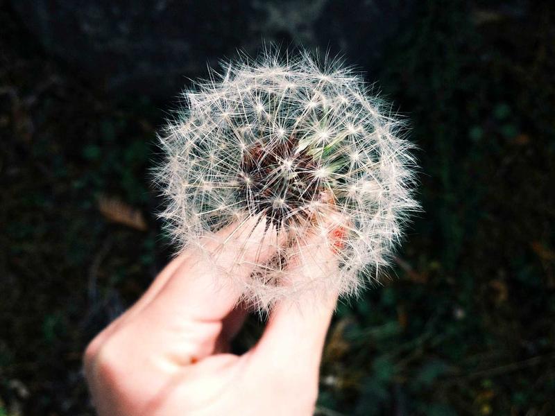 Legion (სათამაშო) მინი MC79