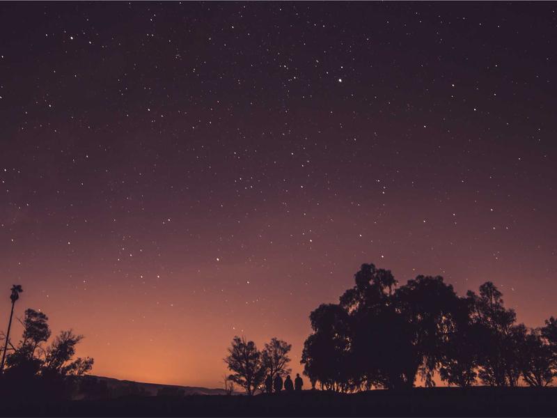 IdeaPad (ბიუჯეტი) ეარ BX20