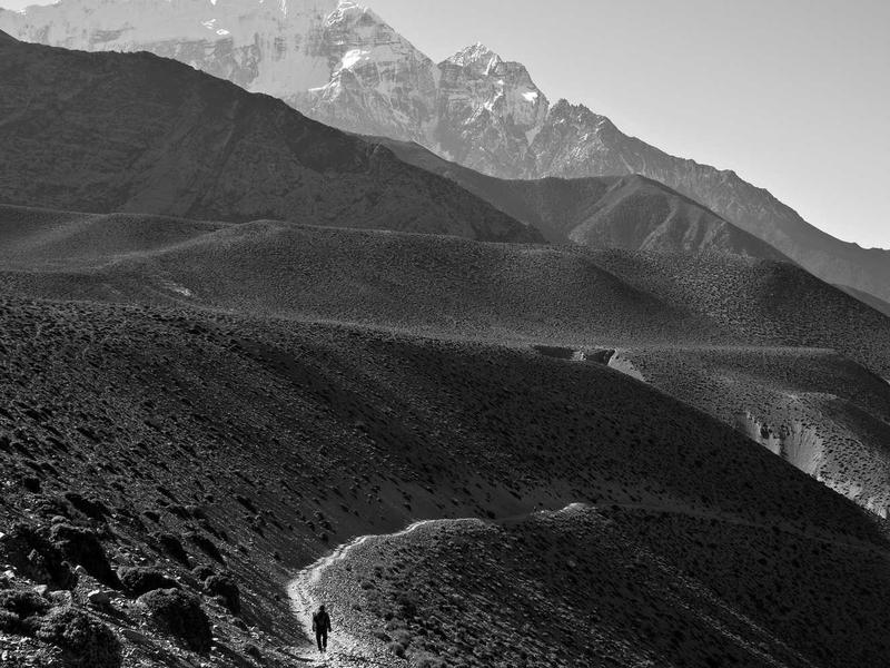 ROG (სათამაშო) ეარ AW21