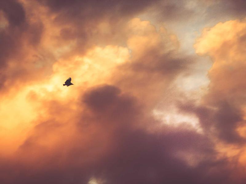 VivoBook მაქს 9H63