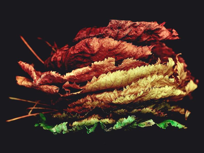 ZenBook ლაიტ 3169