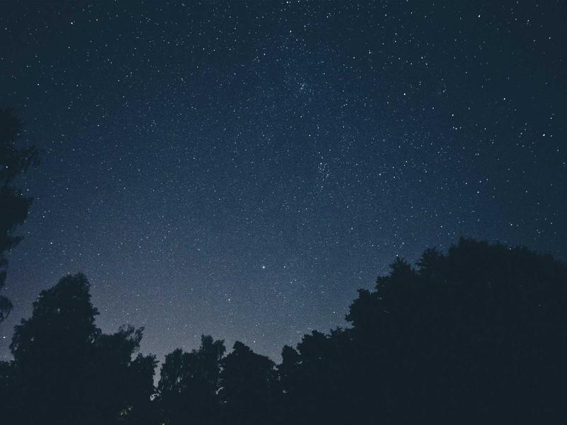 Predator (სათამაშო) პრო CB33