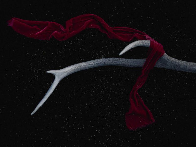 Honor / Huawei ულტრა YA48