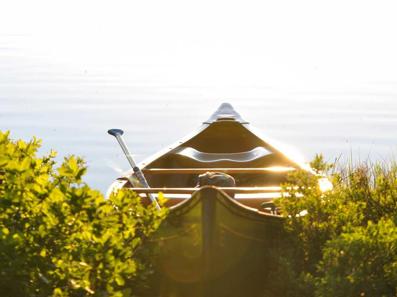 Honor / Huawei პლუს ZB88