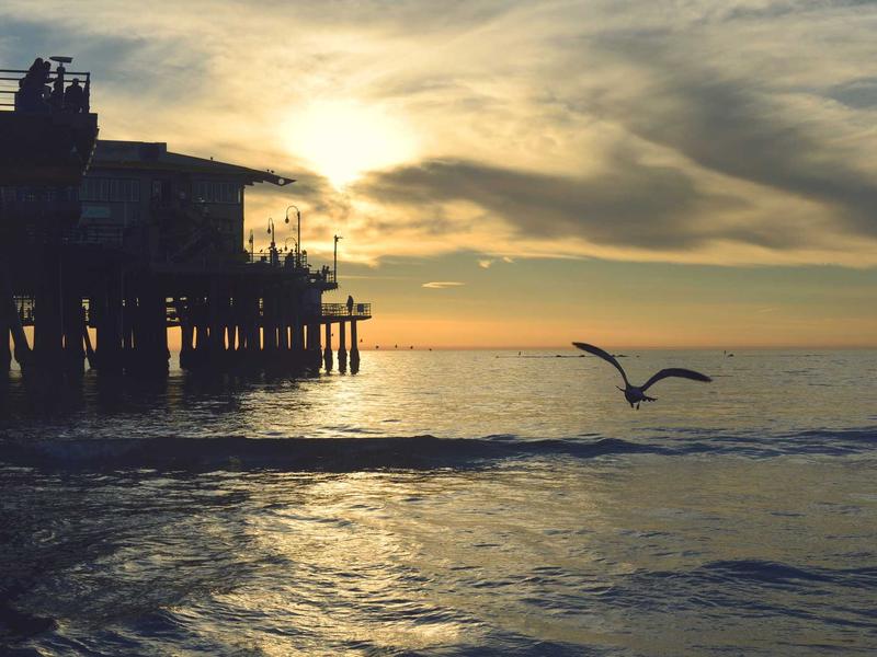 სასწავლო ნეო FF75