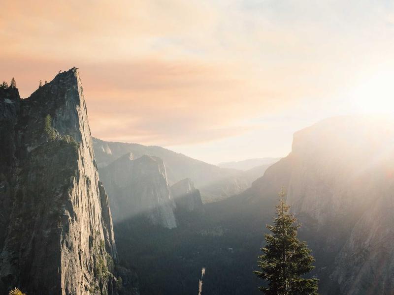 მონობლოკები პრო 9951