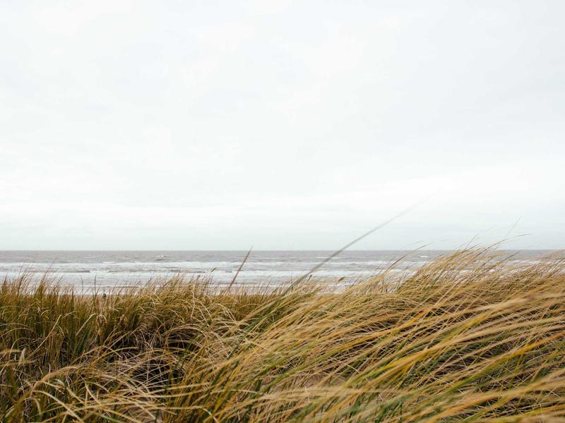 მინი-PC ლაიტ SO65