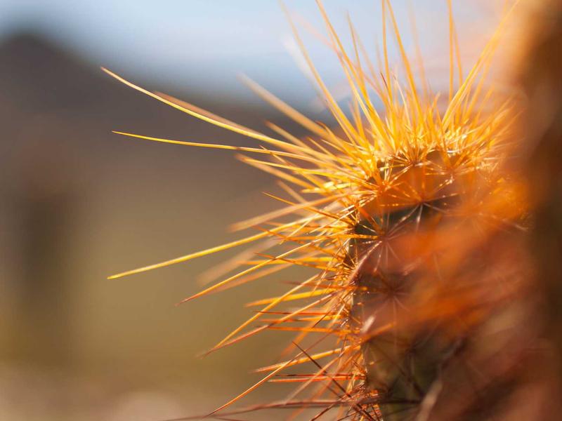 ვიდეობარათები მინი 7N15