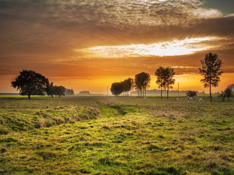 ვიდეობარათები მინი 7N15