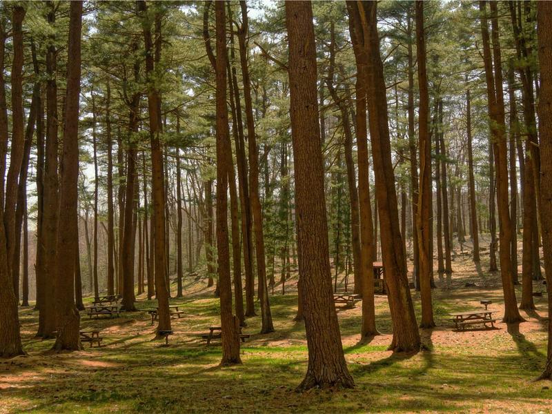 iPad Air მინი MD87