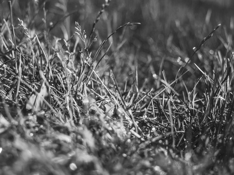 iPad (სტანდარტი) ეჯი 6149