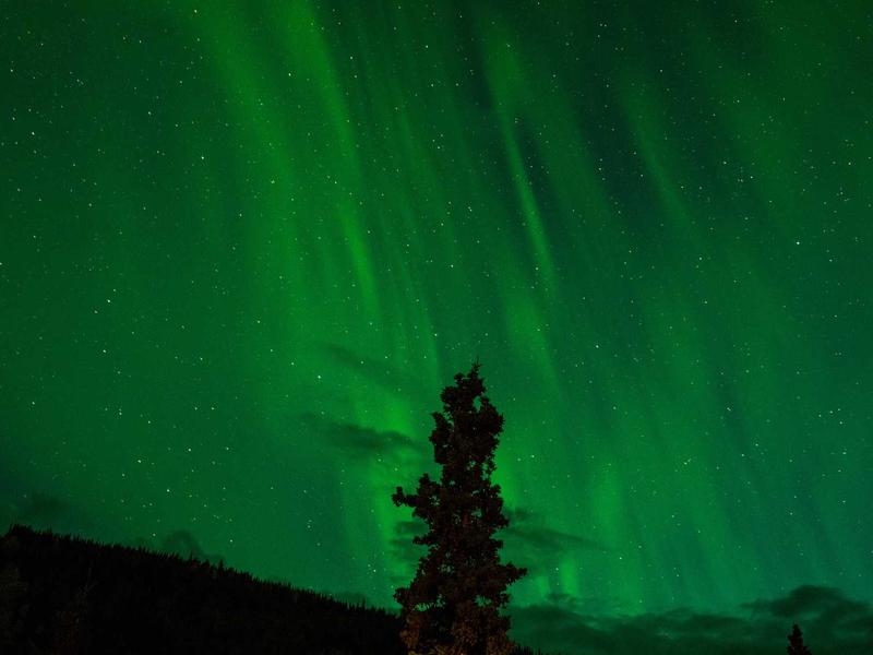 Xiaomi 14 სერია ეჯი FN15