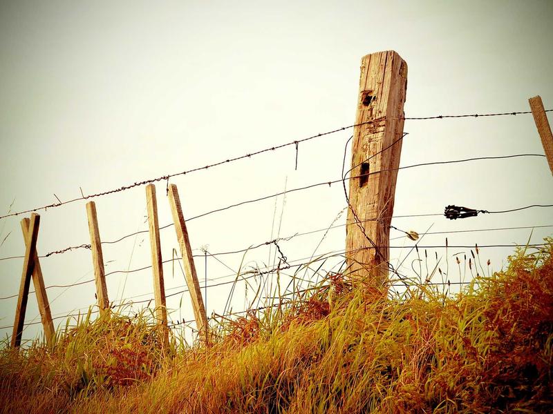 Realme მაქს UA79