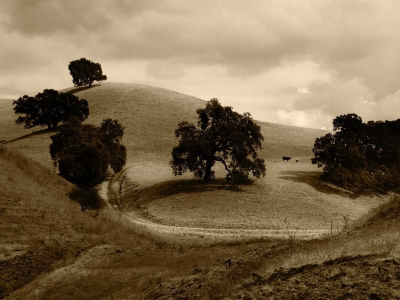 სხვა ბრენდები ეარ W370