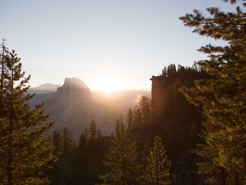 სხვა ბრენდები ლაიტ TO20