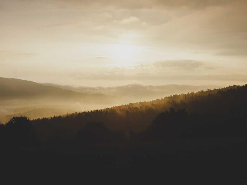 300 GEL-მდე პლუს QK37