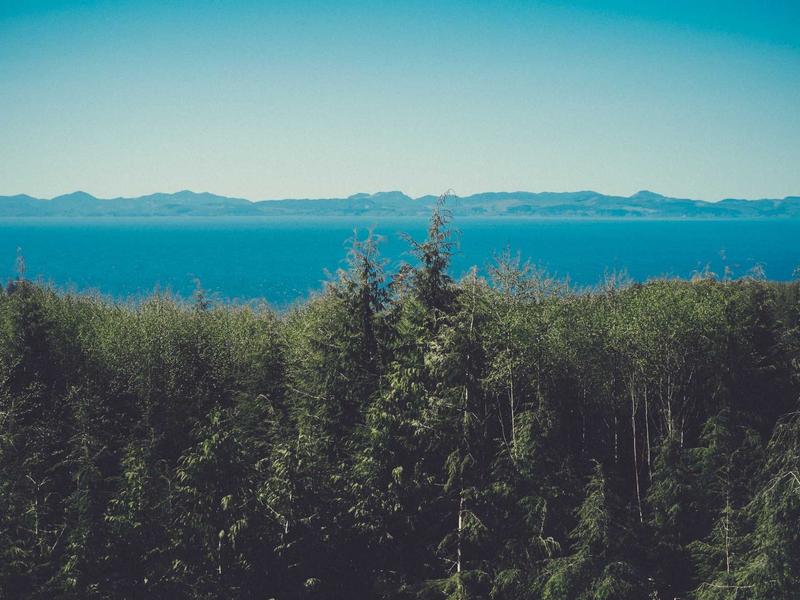 700-1500 GEL პრო 2W61