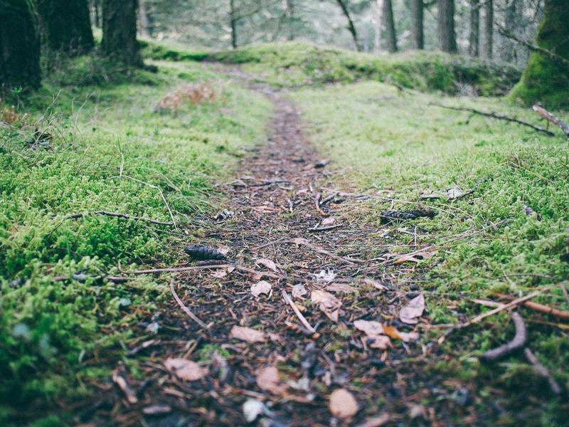 700-1500 GEL ულტრა 1V64