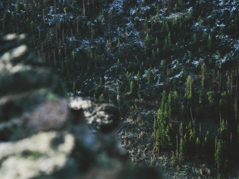 700-1500 GEL მაქს 4N22