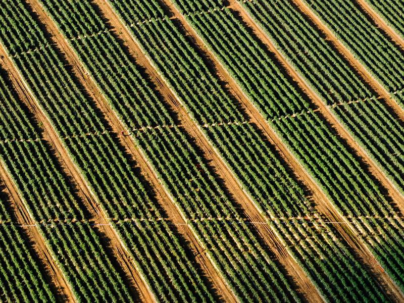 5G სმარტფონები ეარ QI27